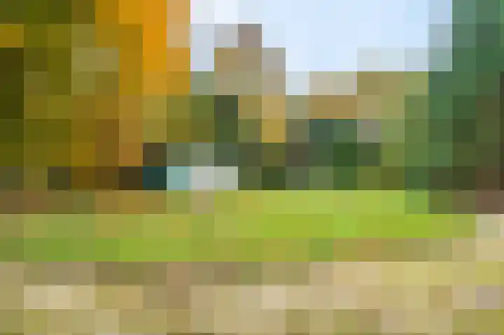 Musselweg 134 Mussel thumbnail 9