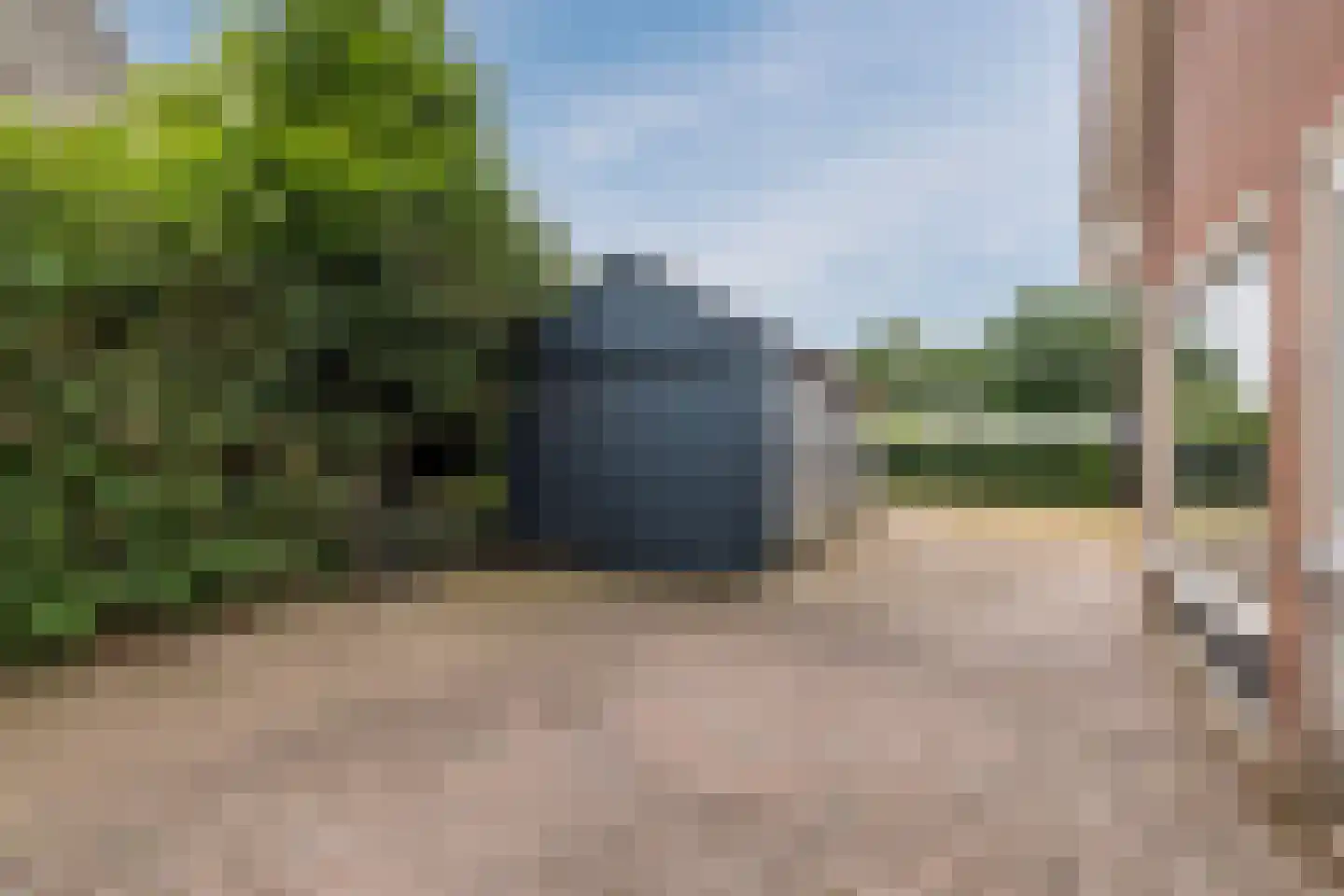 Musselweg 50 Mussel thumbnail 47