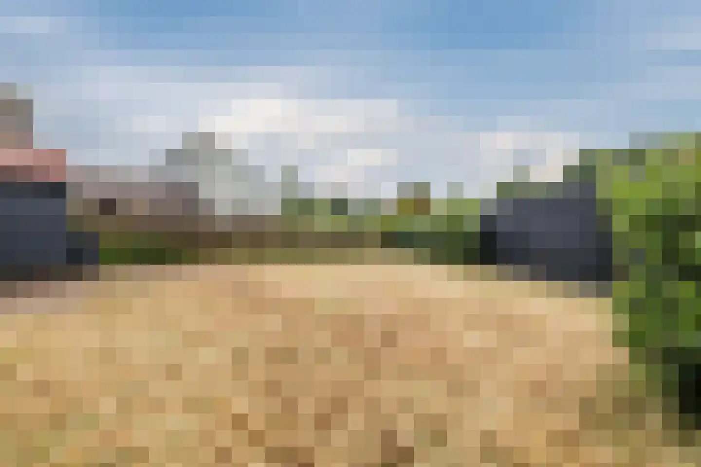 Musselweg 50 Mussel thumbnail 49