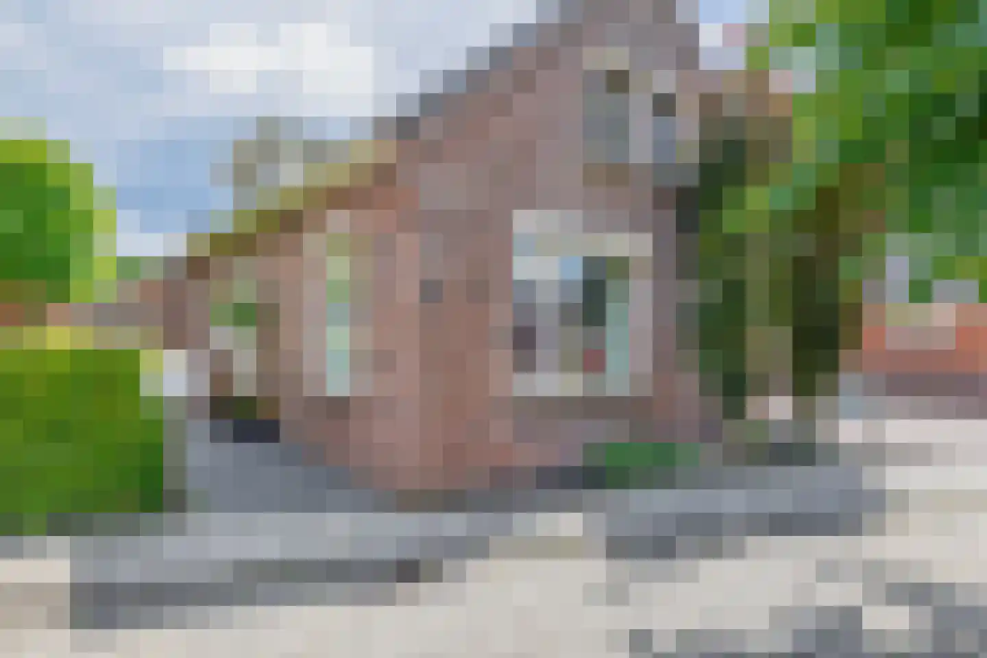 Musselweg 57 Mussel thumbnail 13