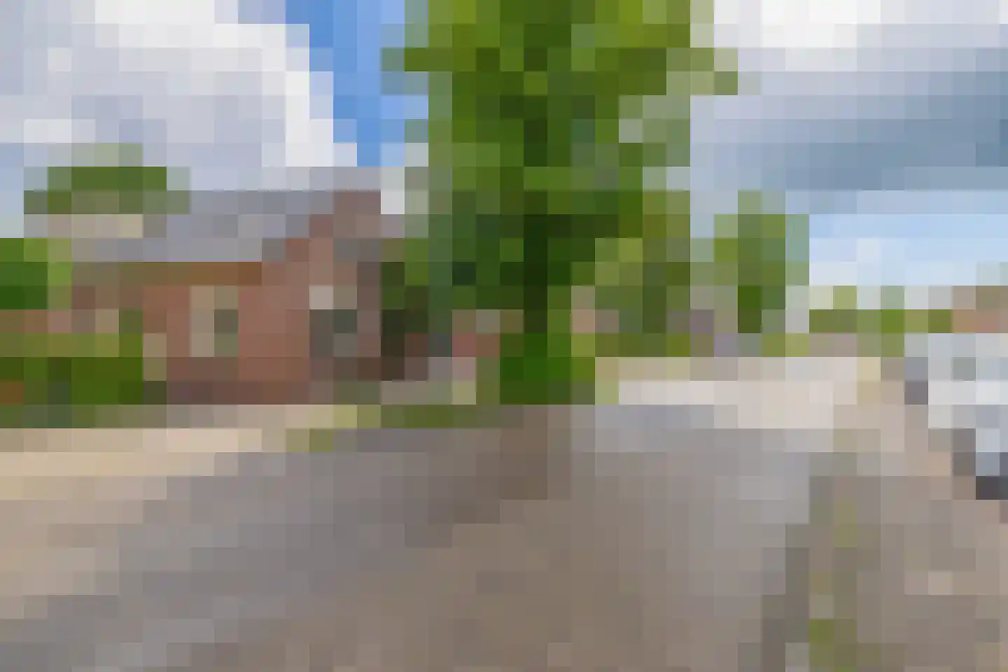 Musselweg 57 Mussel thumbnail 9