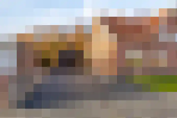 Musselweg 72 Mussel thumbnail 4