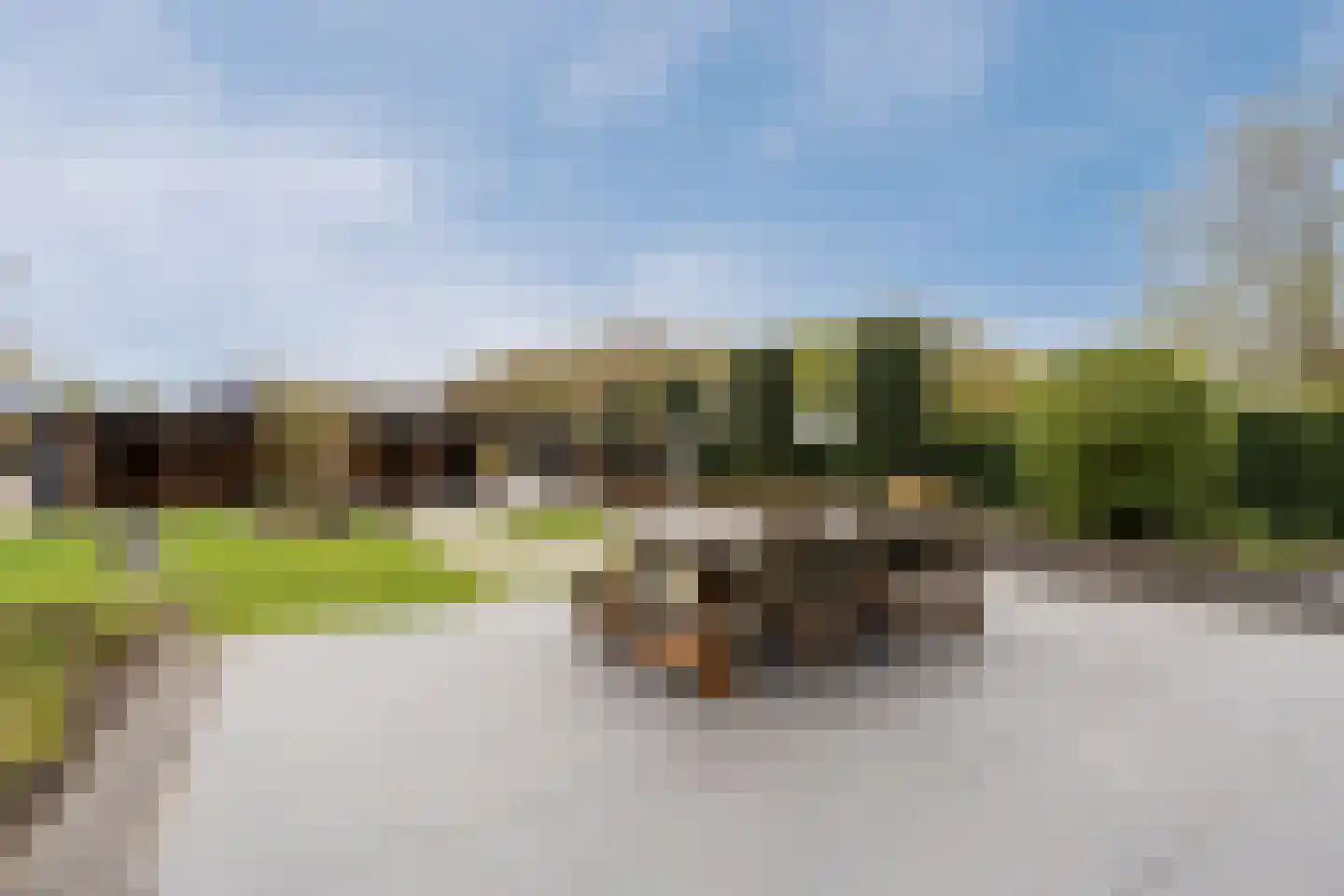 Musselweg 73 Mussel thumbnail 53