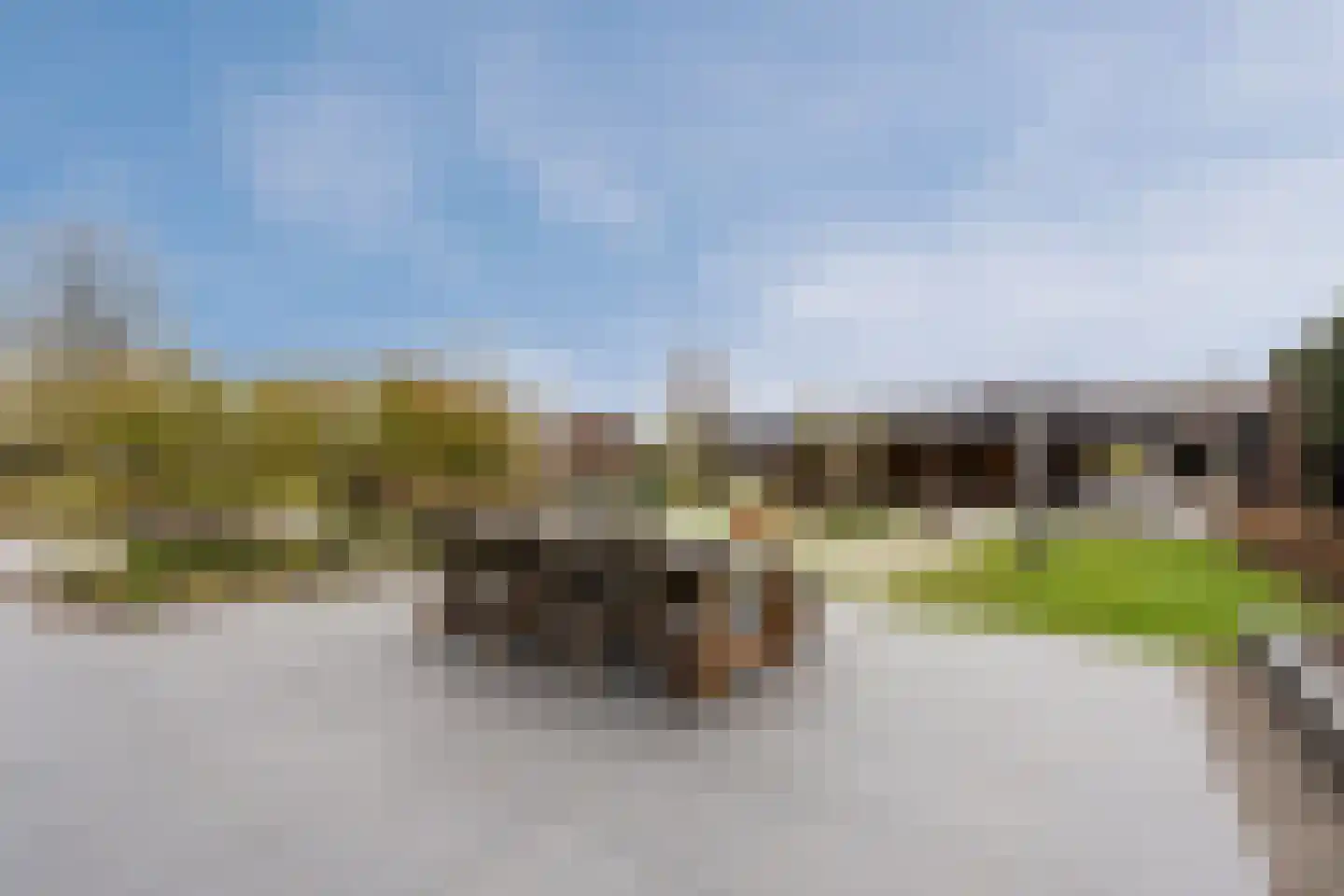 Musselweg 73 Mussel thumbnail 54