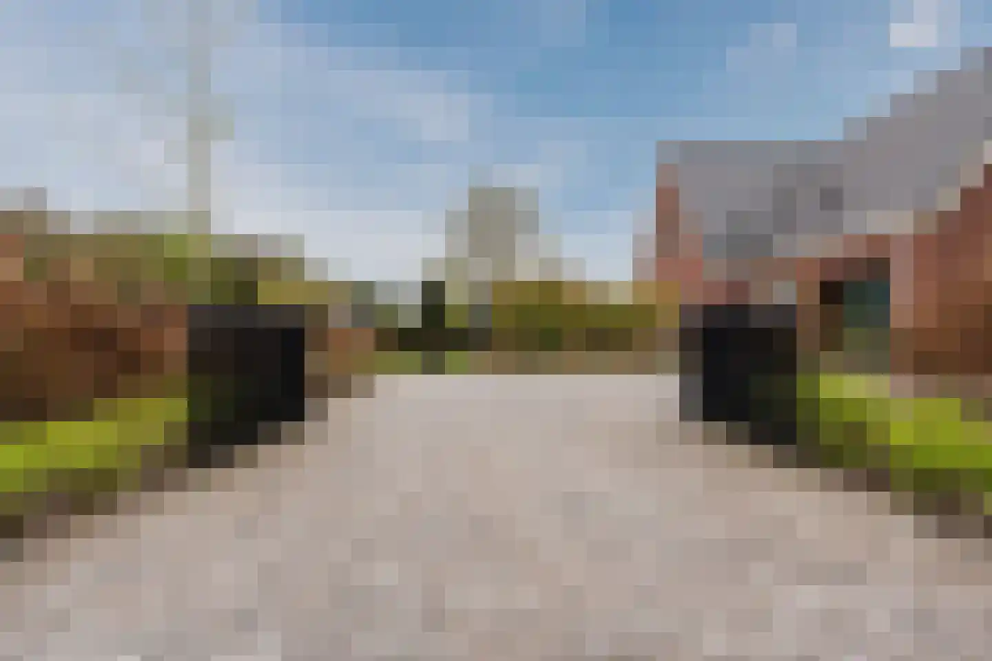 Musselweg 73 Mussel thumbnail 67