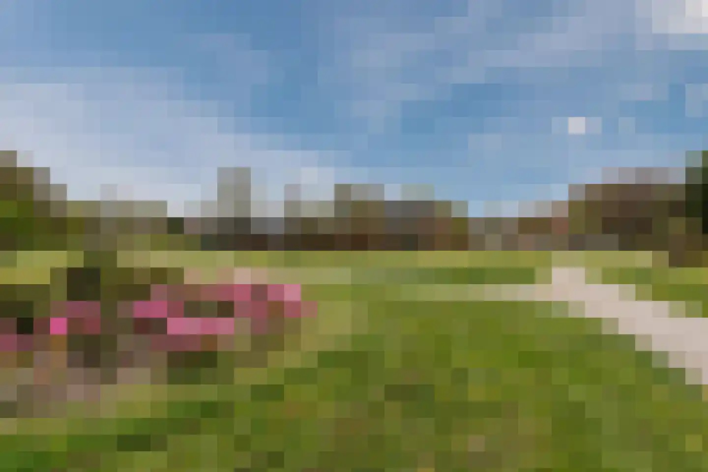 Musselweg 73 Mussel thumbnail 72