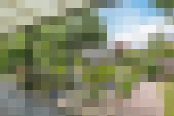 Mussenakkers 26 Beilen thumbnail 33