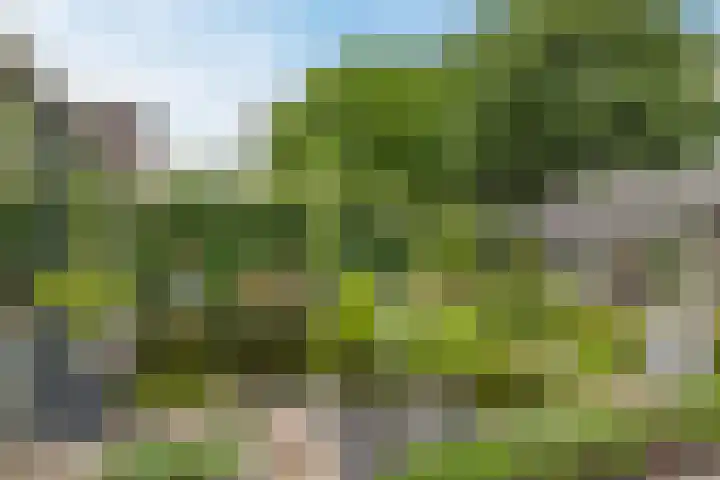 Mussenakkers 26 Beilen thumbnail 34