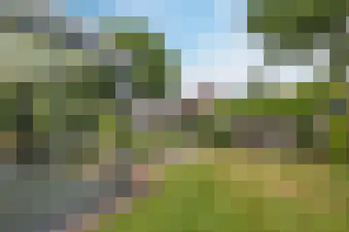 Mussenakkers 26 Beilen thumbnail 35