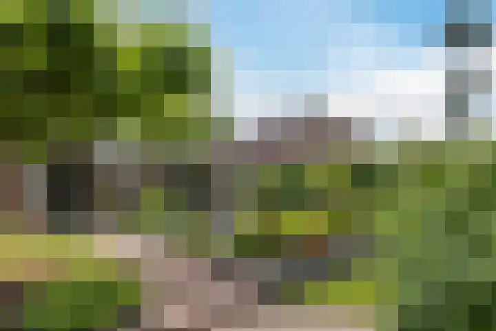 Mussenakkers 26 Beilen thumbnail 36