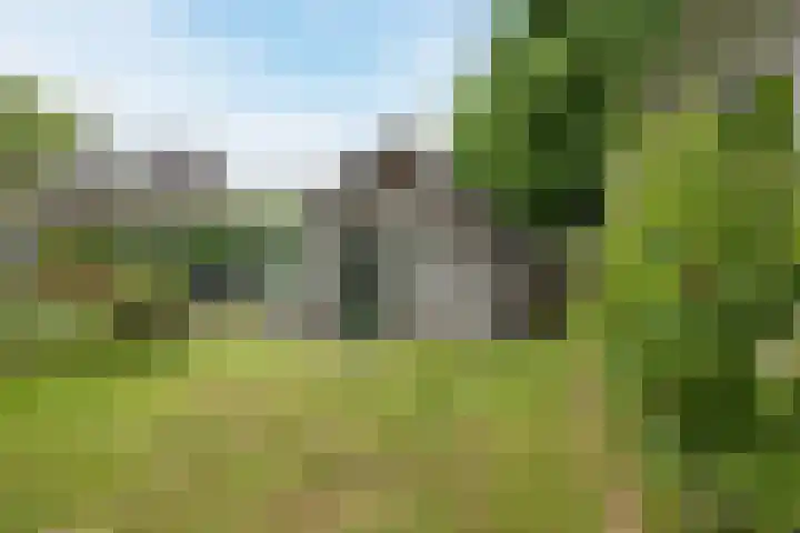 Mussenakkers 26 Beilen thumbnail 37