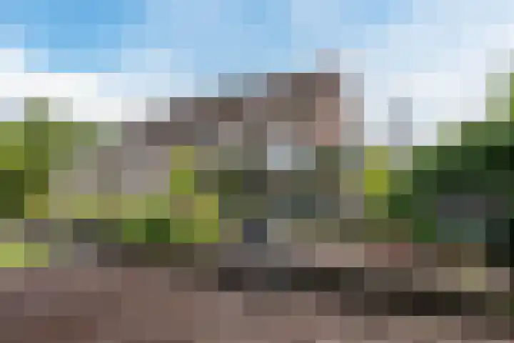 Mussenakkers 26 Beilen thumbnail 38