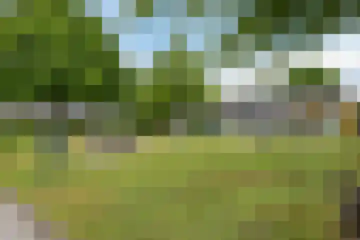 Mussenakkers 26 Beilen thumbnail 40