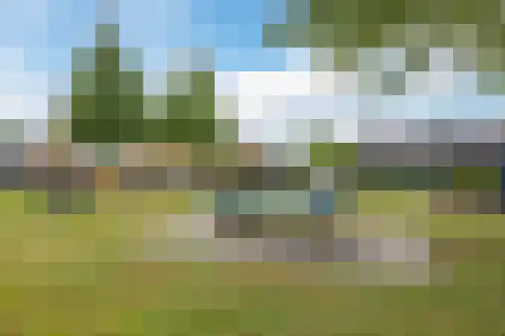 Mussenakkers 26 Beilen thumbnail 41