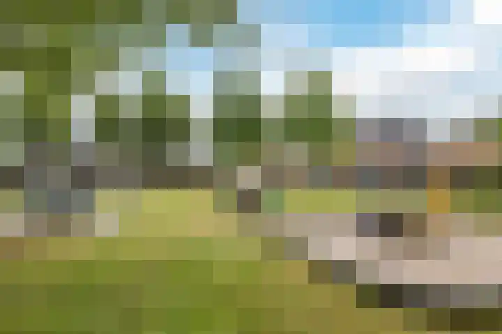 Mussenakkers 26 Beilen thumbnail 42