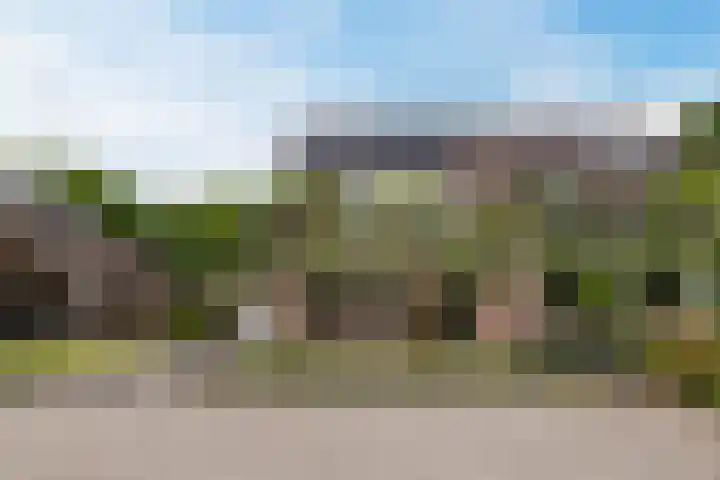 Mussenakkers 26 Beilen thumbnail 47