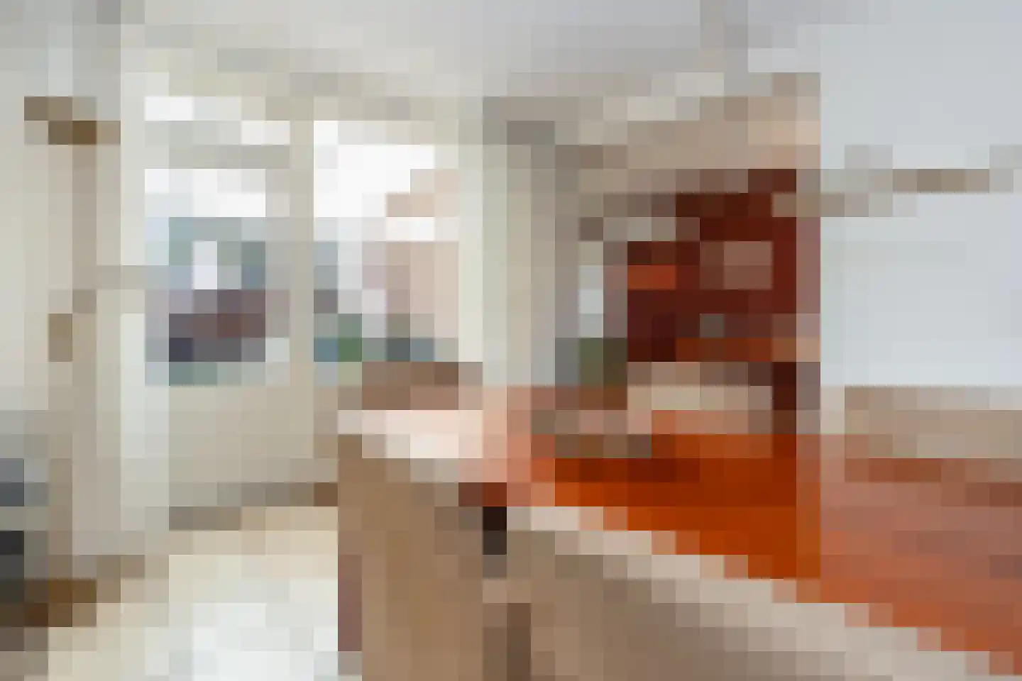 Mussenberg 30 Weert thumbnail 10