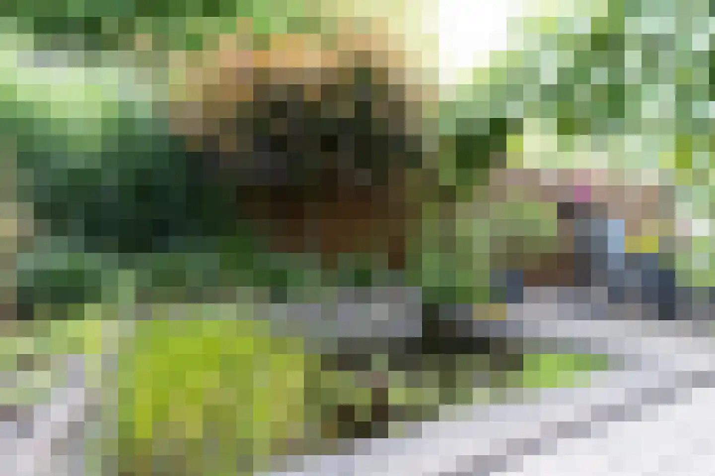 Mussenberg 30 Weert thumbnail 40
