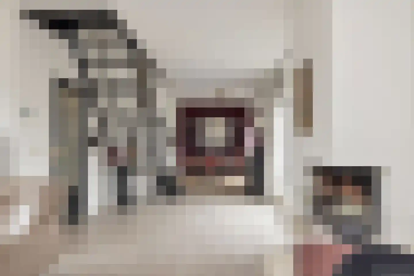 Mussenhof 1 Schagen thumbnail 13