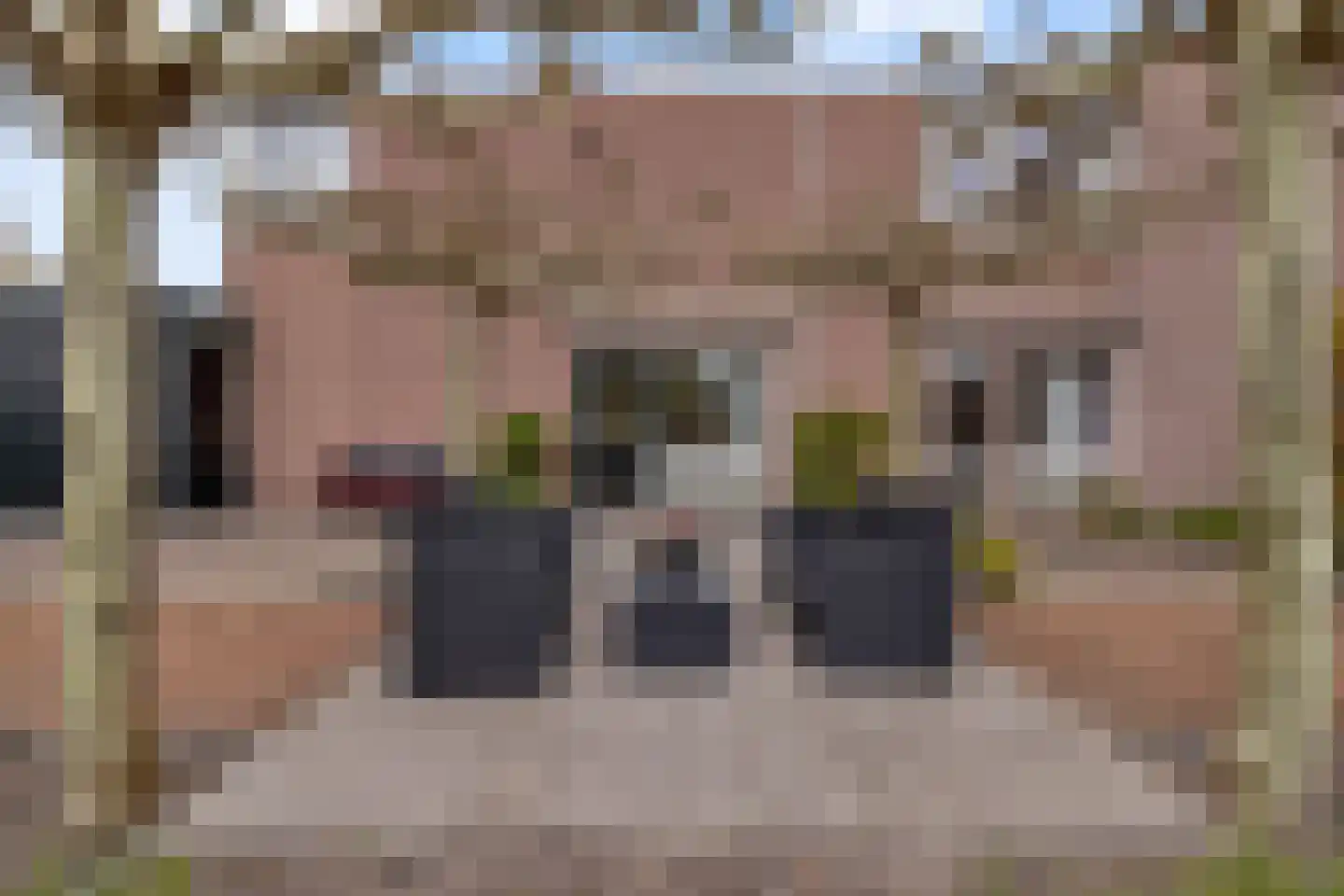 Mussenhof 1 Schagen thumbnail 27