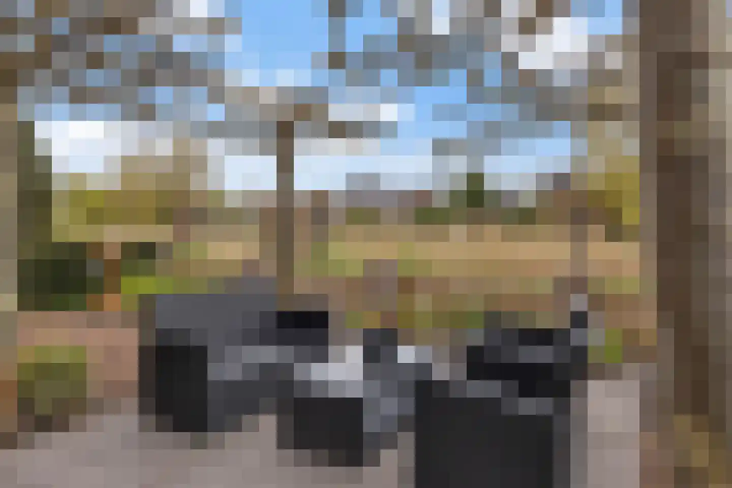 Mussenhof 1 Schagen thumbnail 28