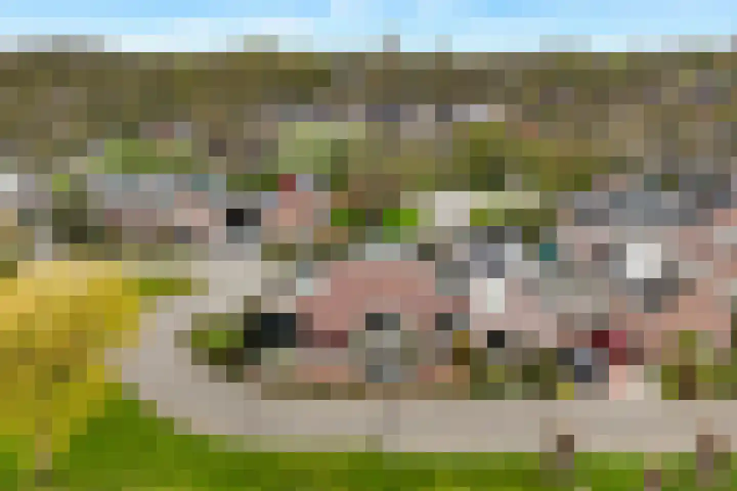 Mussenhof 1 Schagen thumbnail 29