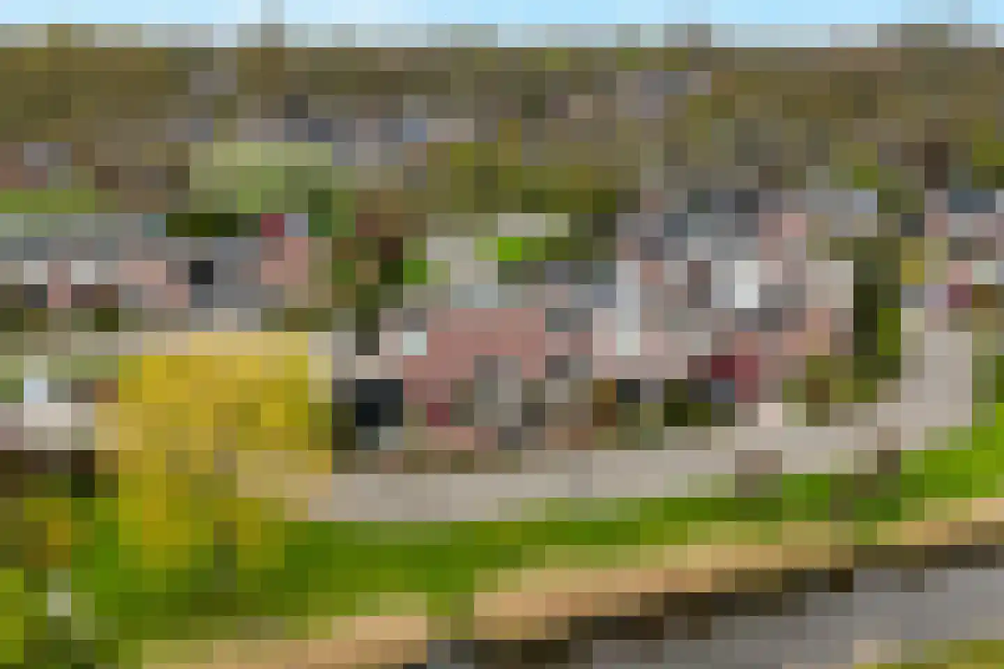 Mussenhof 1 Schagen thumbnail 5
