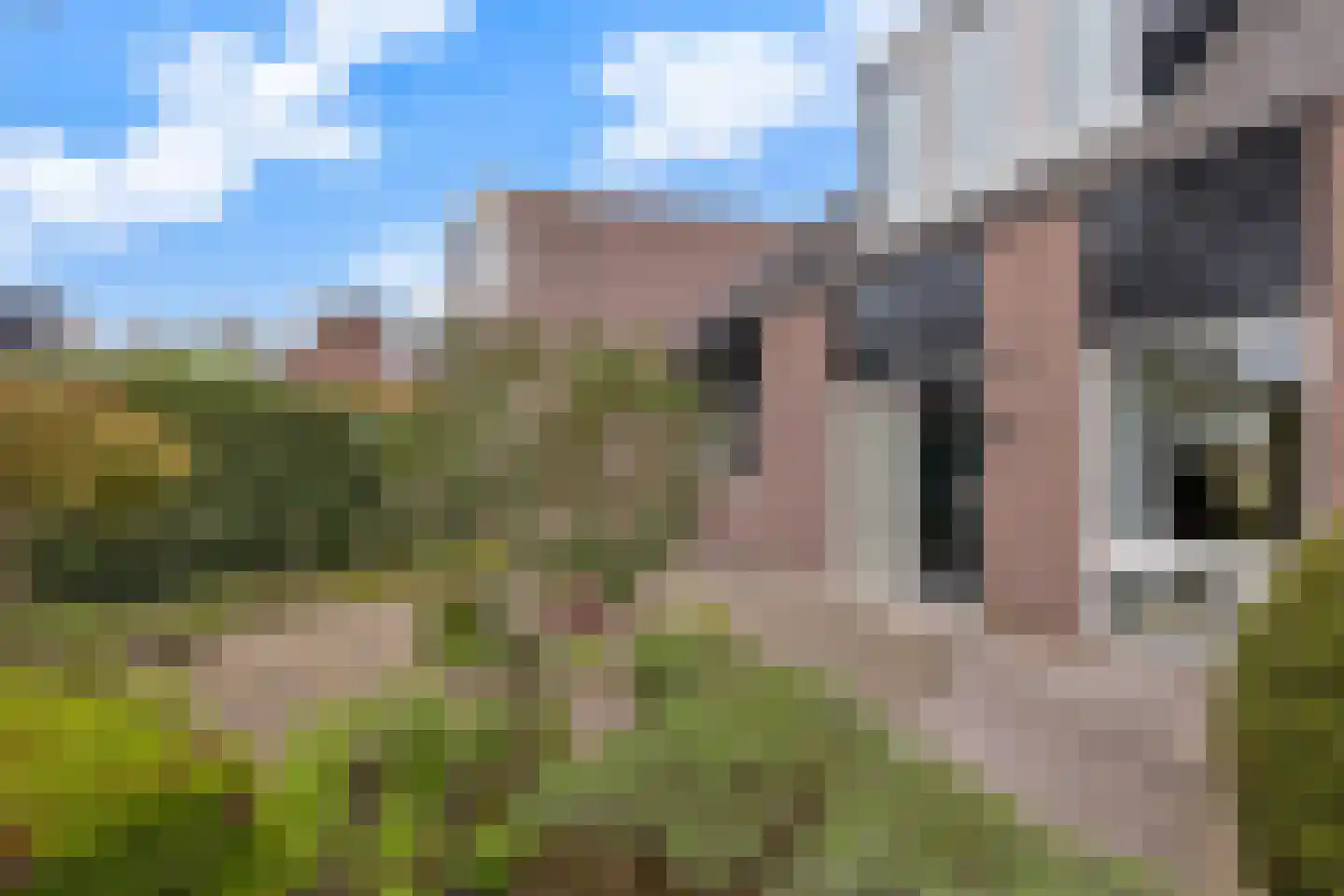Mussenhof 1 Schagen thumbnail 8