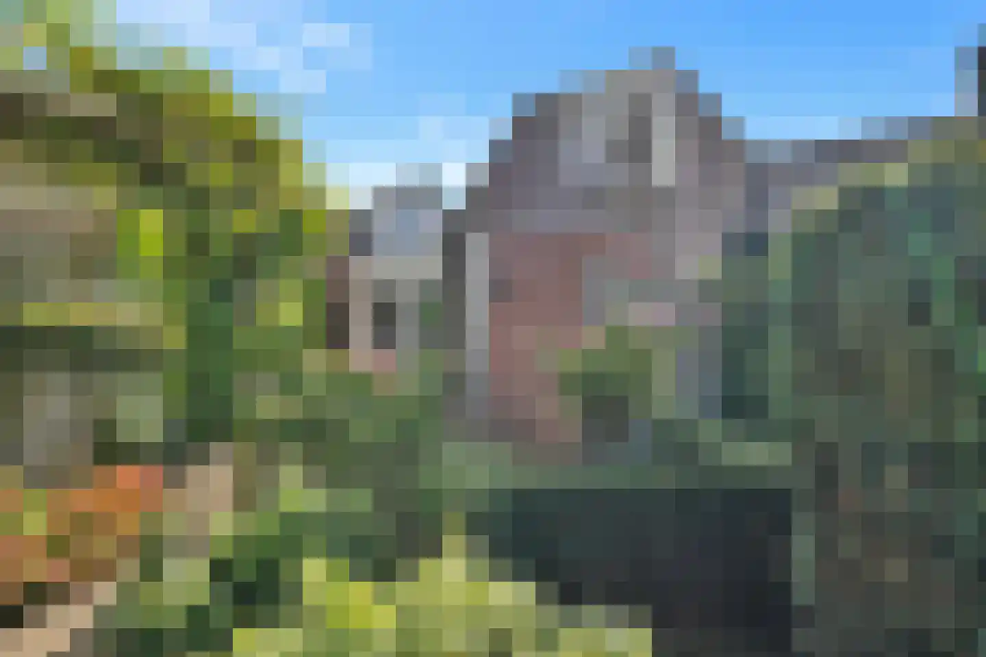 Mussenhof 3 Schagen thumbnail 8