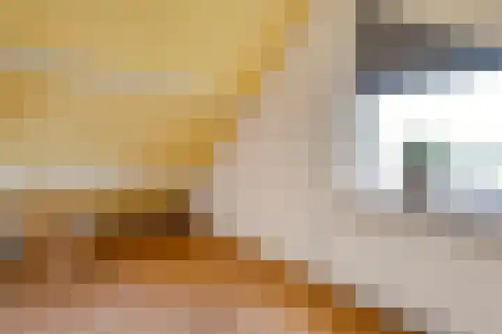 Mussenkamp 4 Dalfsen thumbnail 33