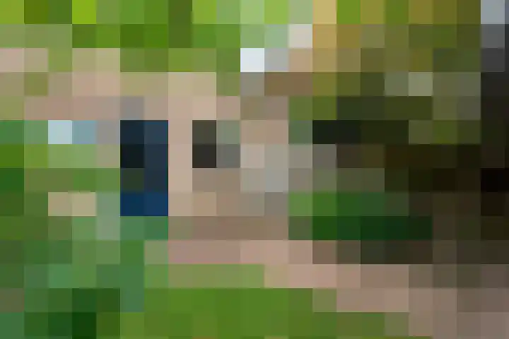 Mussenkamp 4 Dalfsen thumbnail 37