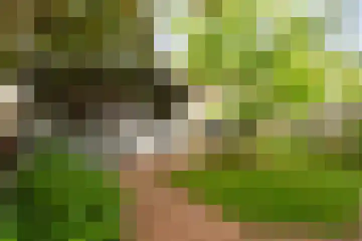 Mussenkamp 4 Dalfsen thumbnail 39