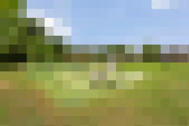 Mussenkamp 4 Dalfsen thumbnail 42