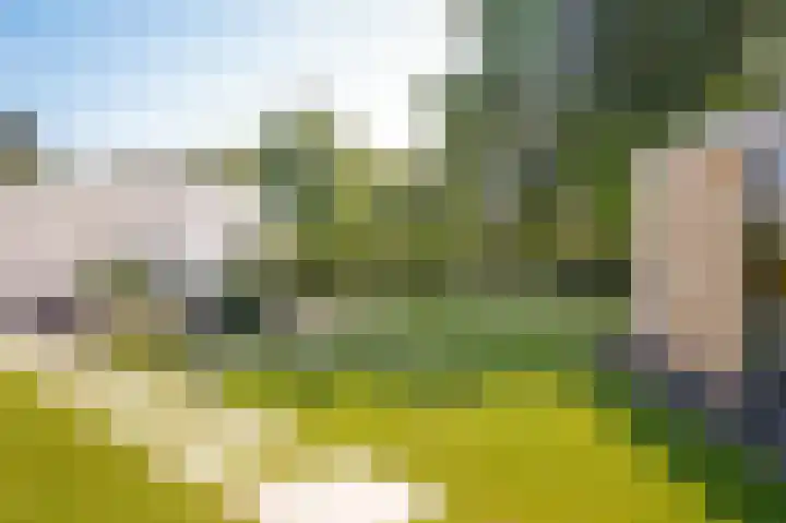 Mussenlaan 2 Zaltbommel thumbnail 51