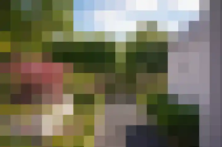 Mussenlaan 2 Zaltbommel thumbnail 68