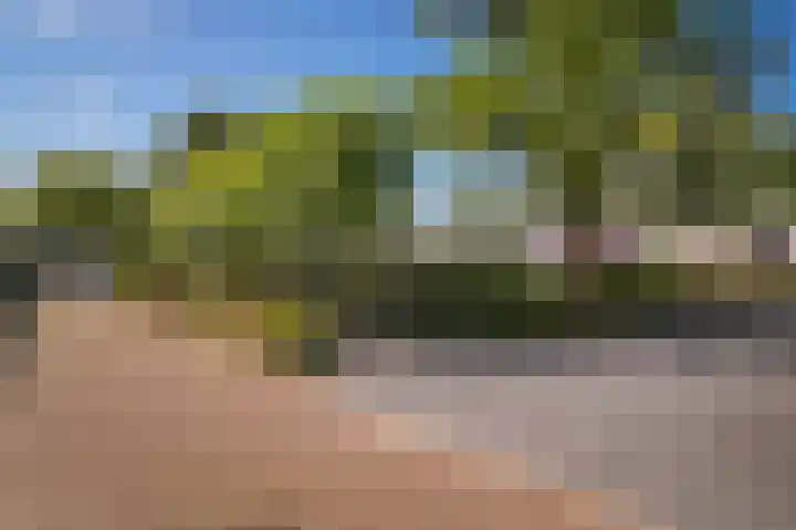 Mussenlaan 2 Zaltbommel thumbnail 70