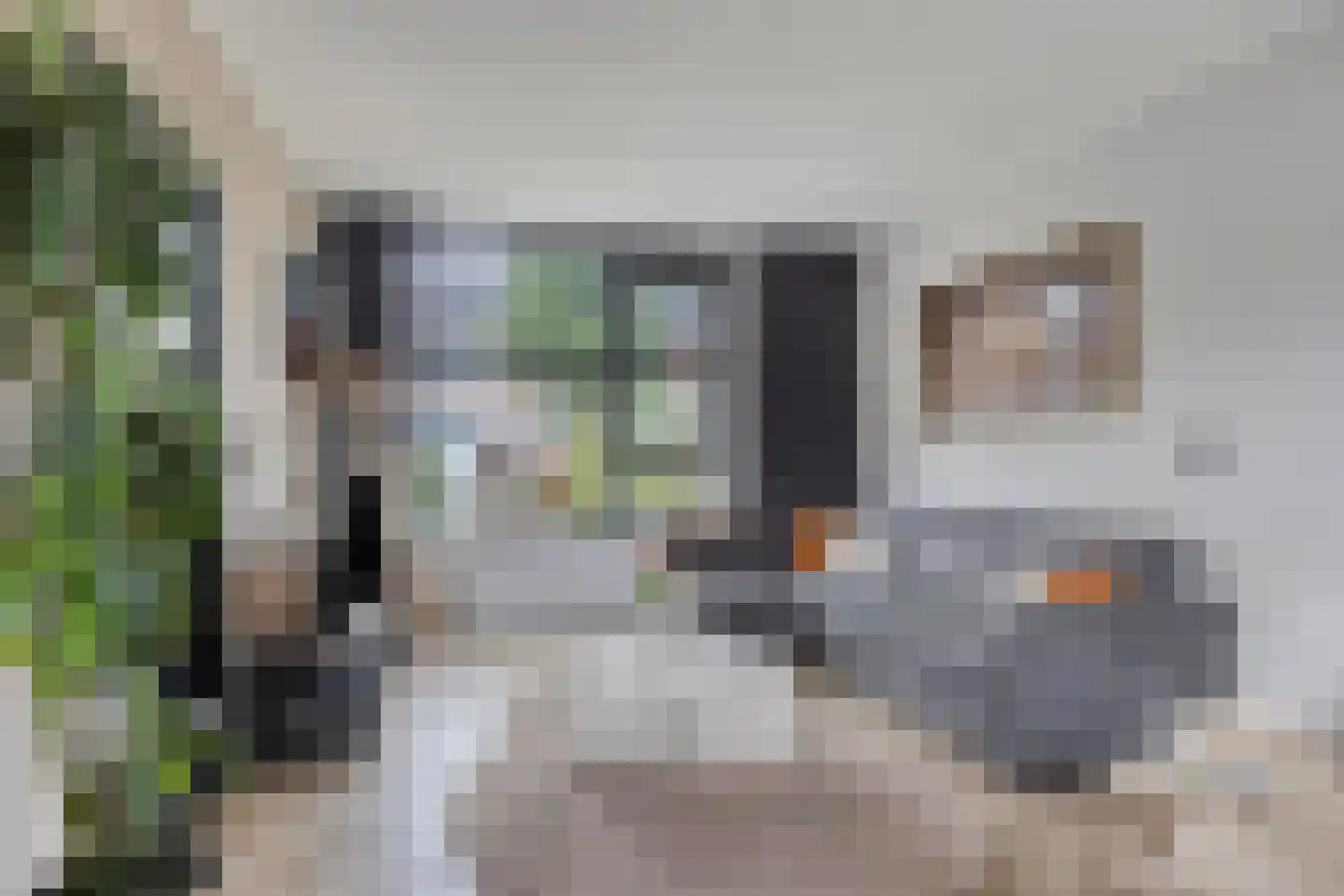 Mussenlaan 28 Vuren thumbnail 4