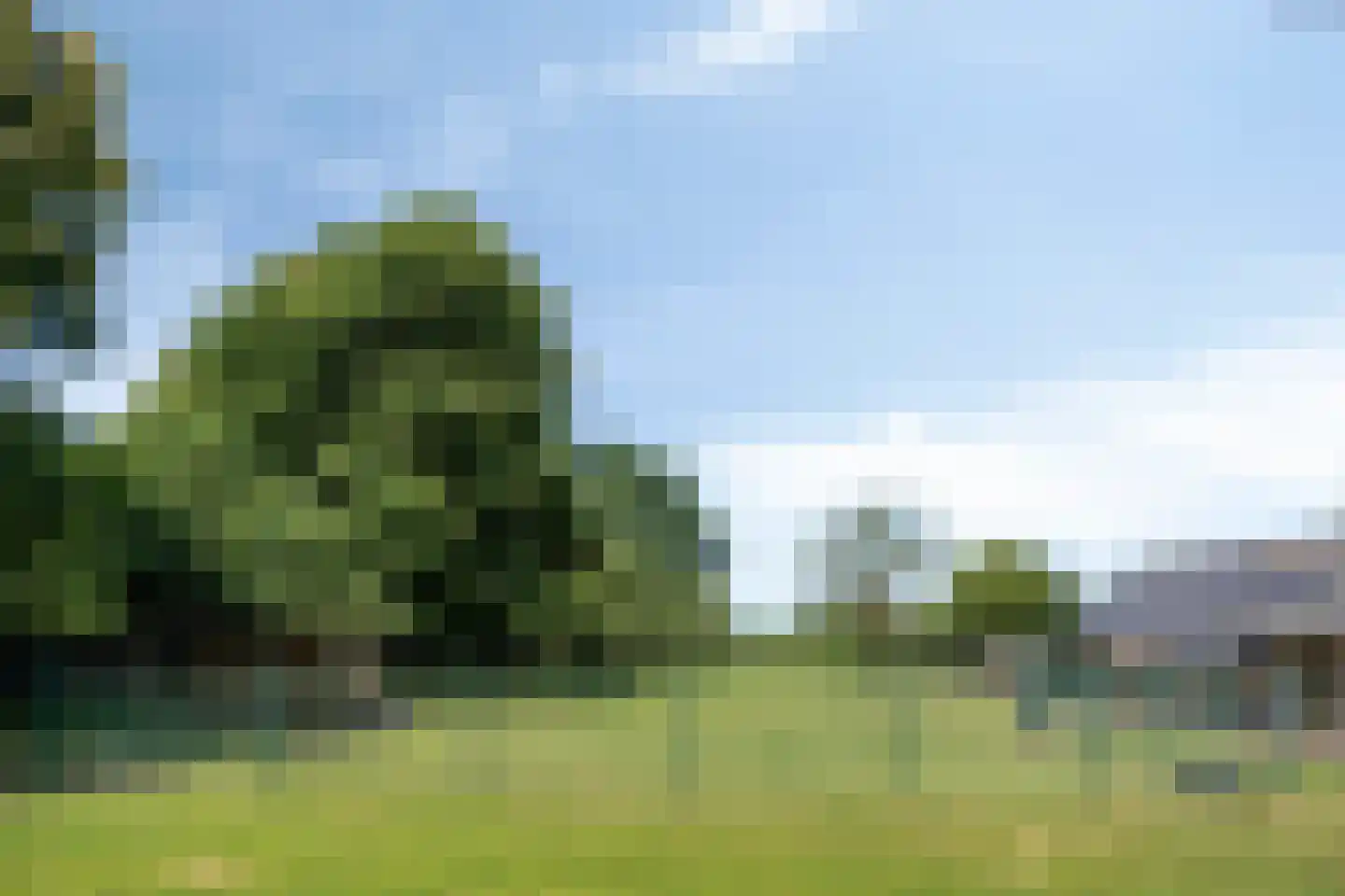 Mussenput 5 Berg en Terblijt thumbnail 22