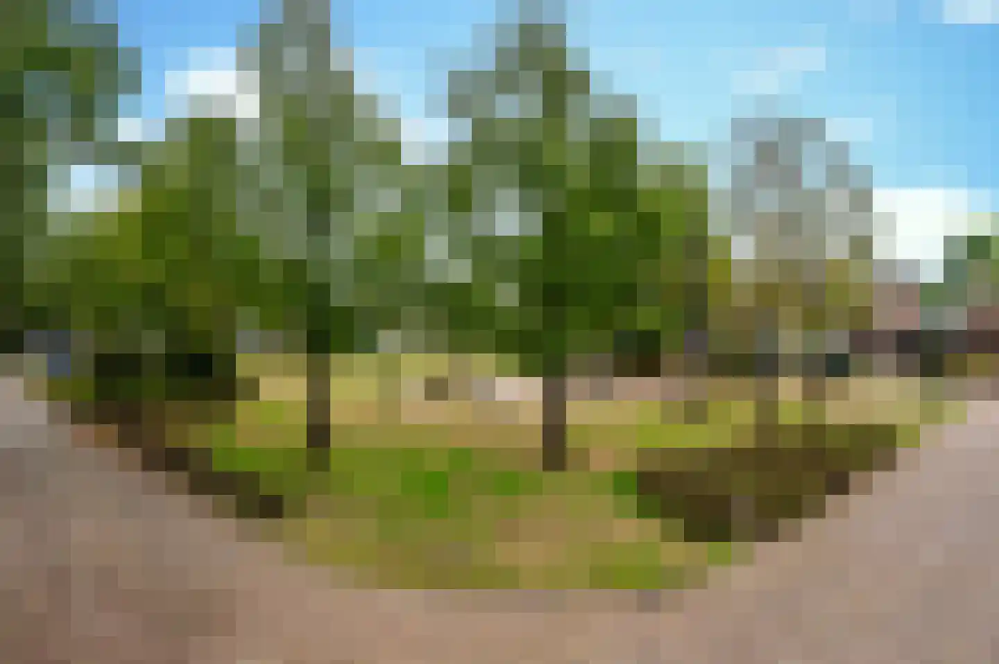 Mussenstraat 11 Uden thumbnail 5