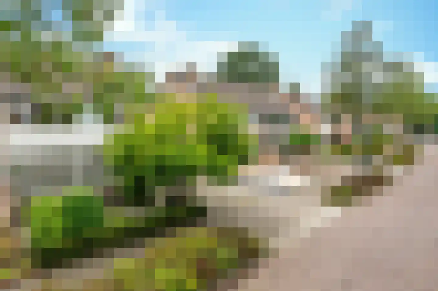 Mussenstraat 11 Uden thumbnail 6