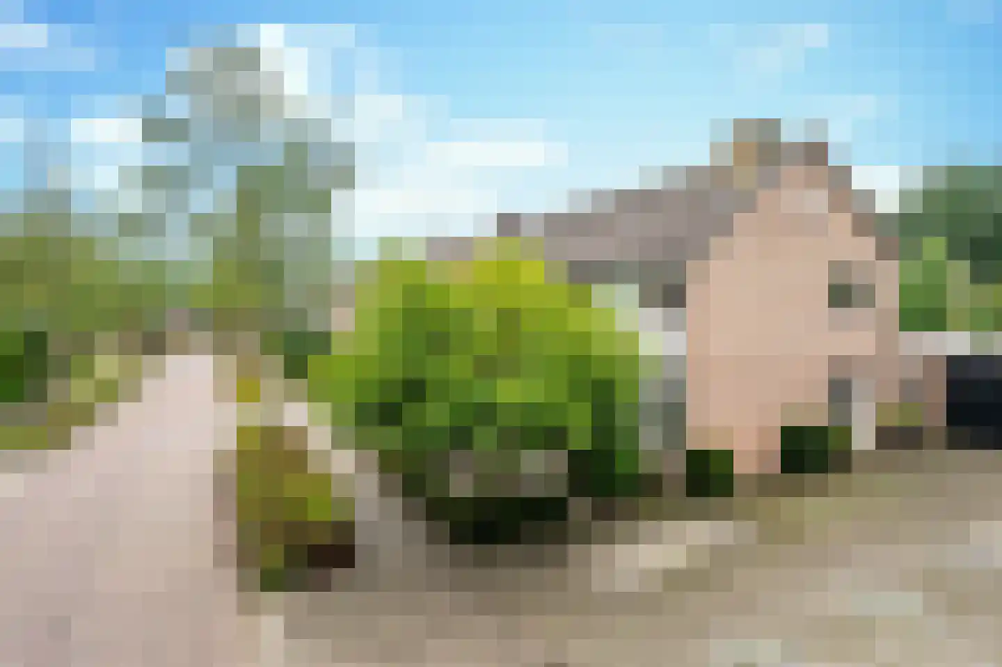 Mussenstraat 11 Uden thumbnail 8