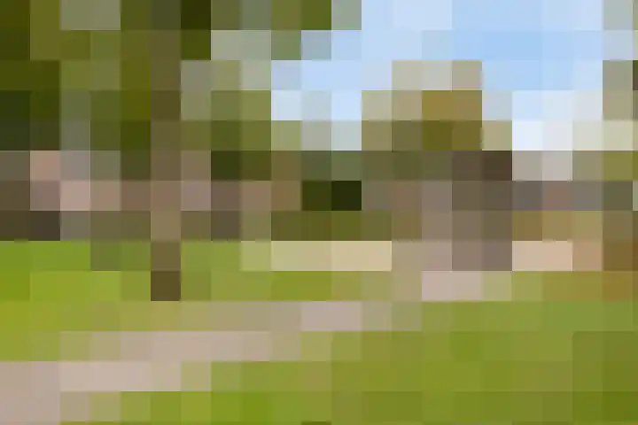 Mussenstraat 14 Uden thumbnail 41