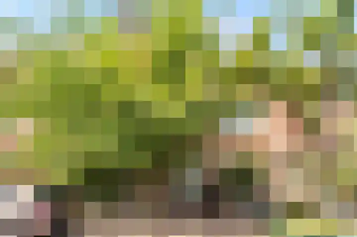 Mussenstraat 19 Amsterdam thumbnail 28
