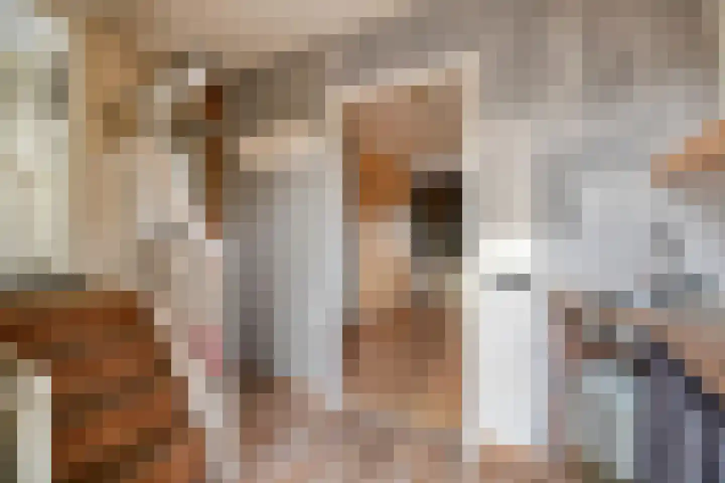 Mussentiend 7 Veen thumbnail 12