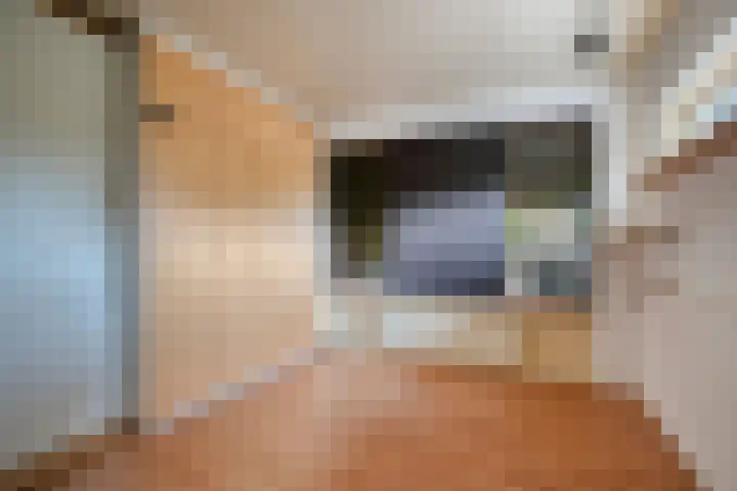 Mussentiend 7 Veen thumbnail 13