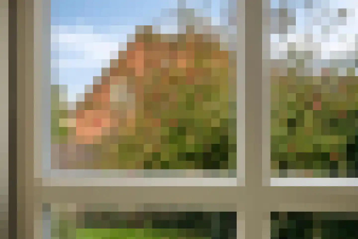 Mussentiend 7 Veen thumbnail 24