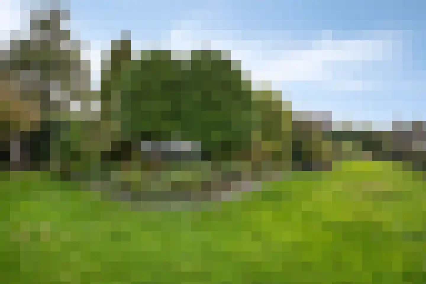 Mussentiend 7 Veen thumbnail 28