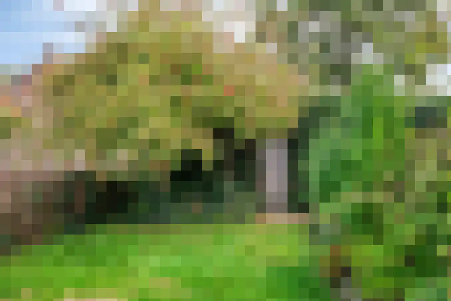 Mussentiend 7 Veen thumbnail 29
