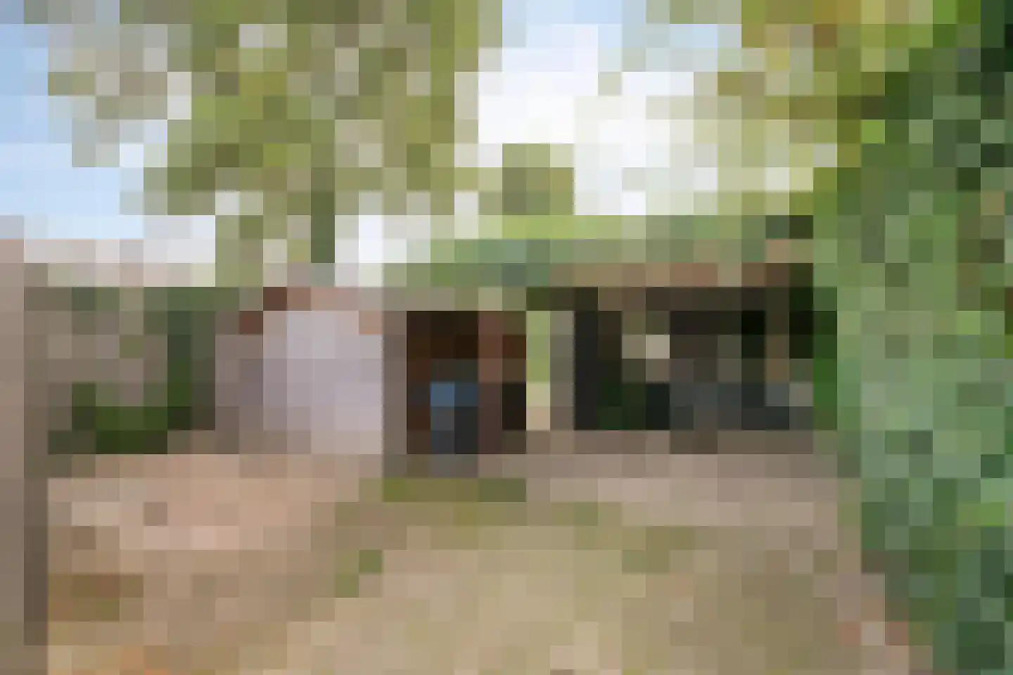 Mussentiend 7 Veen thumbnail 31