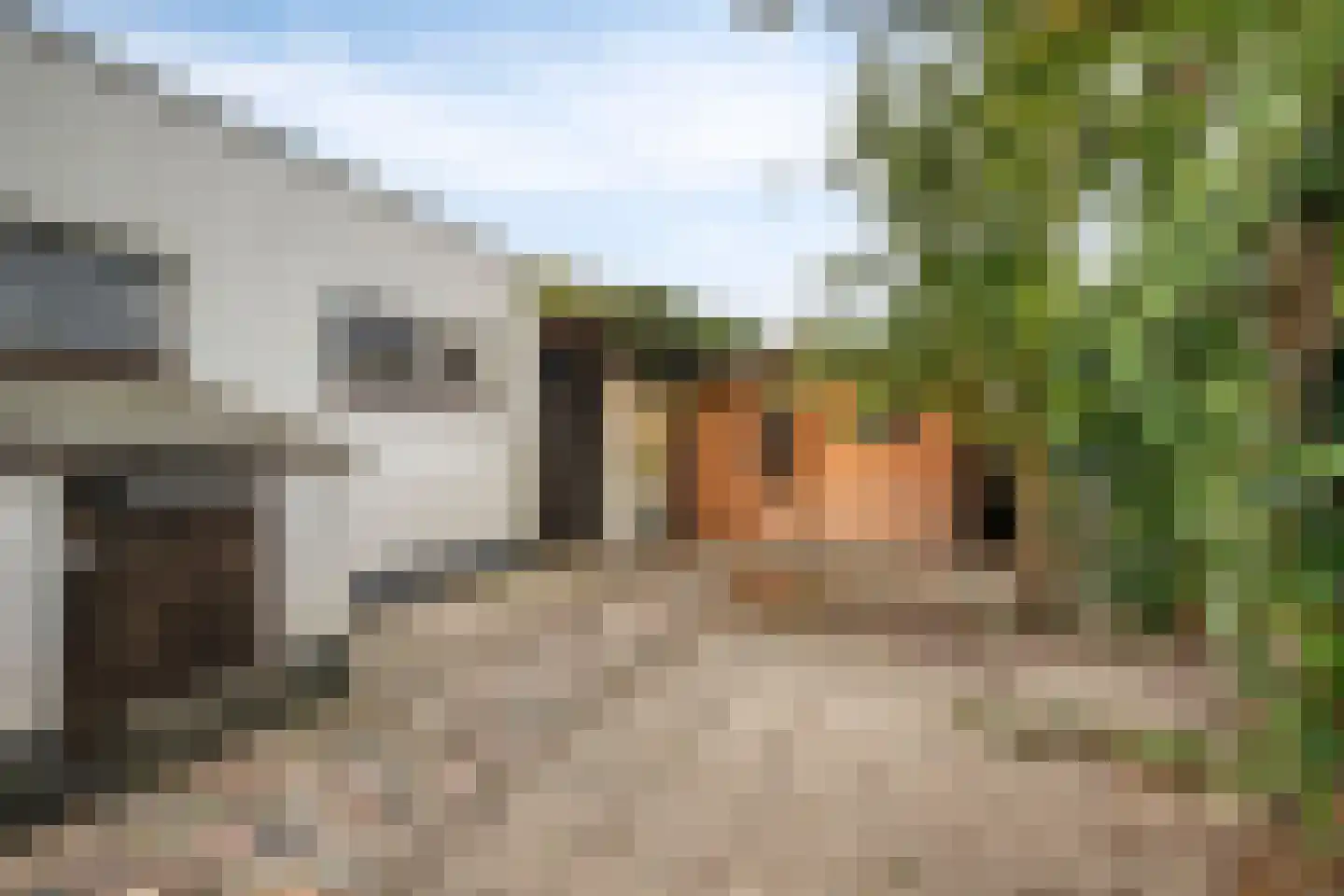Mussentiend 7 Veen thumbnail 33